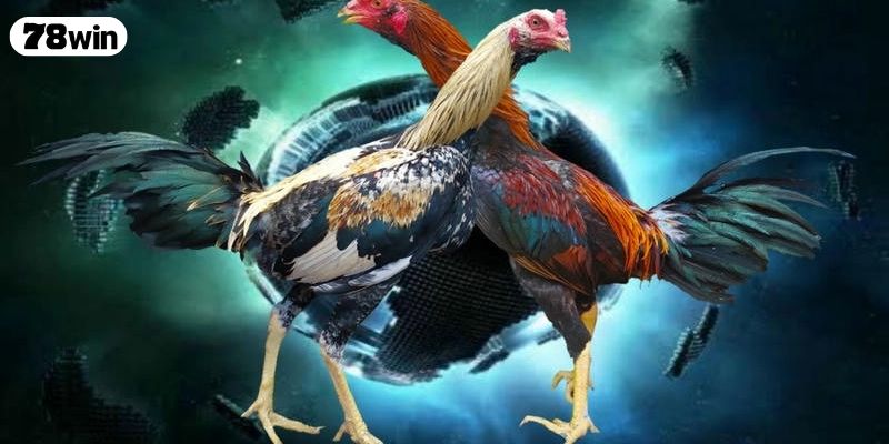 Quy luật tương sinh của màu mạng gà đá